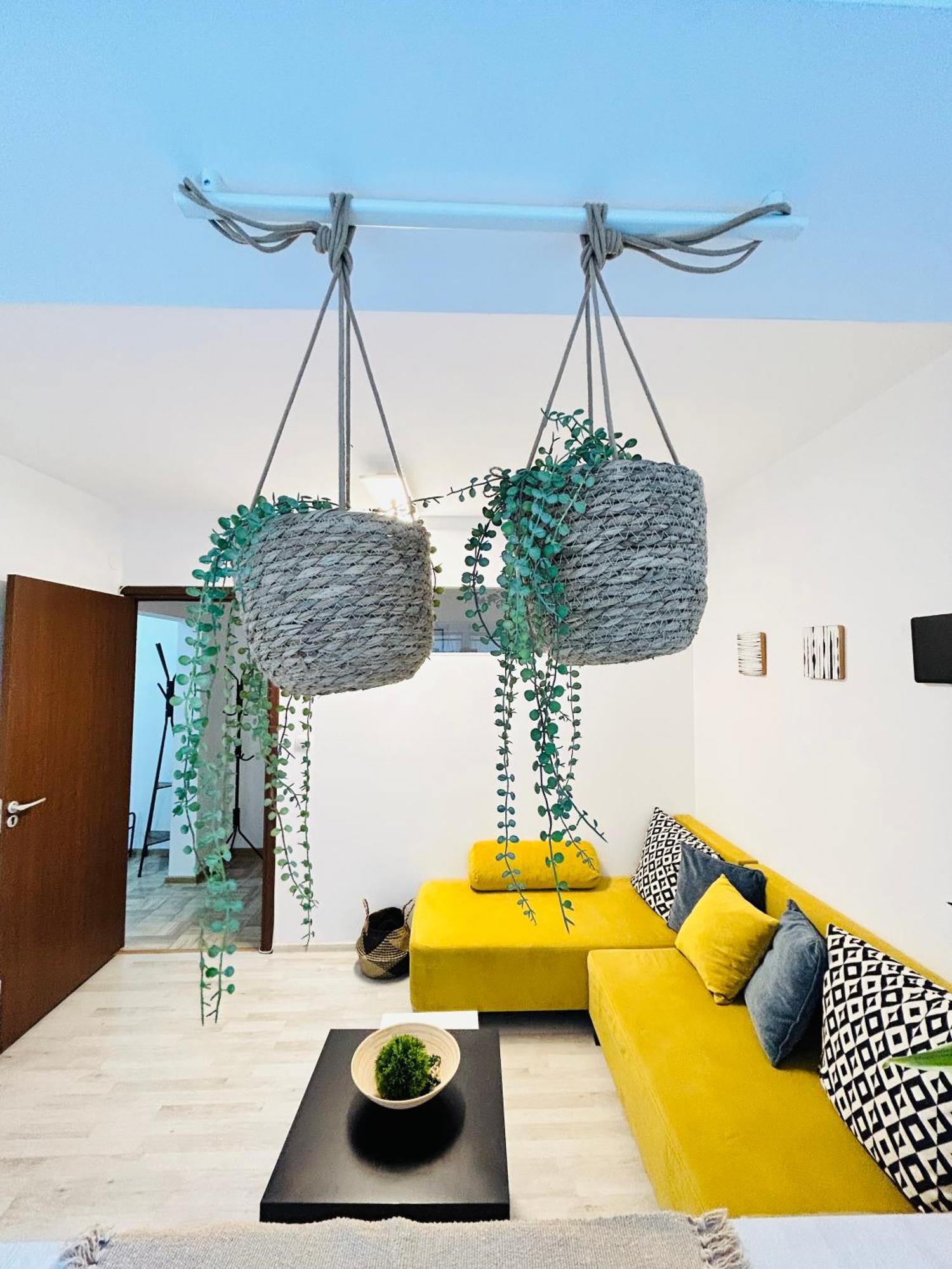 Alisz Apartments ทิมิชัวรา ภายนอก รูปภาพ