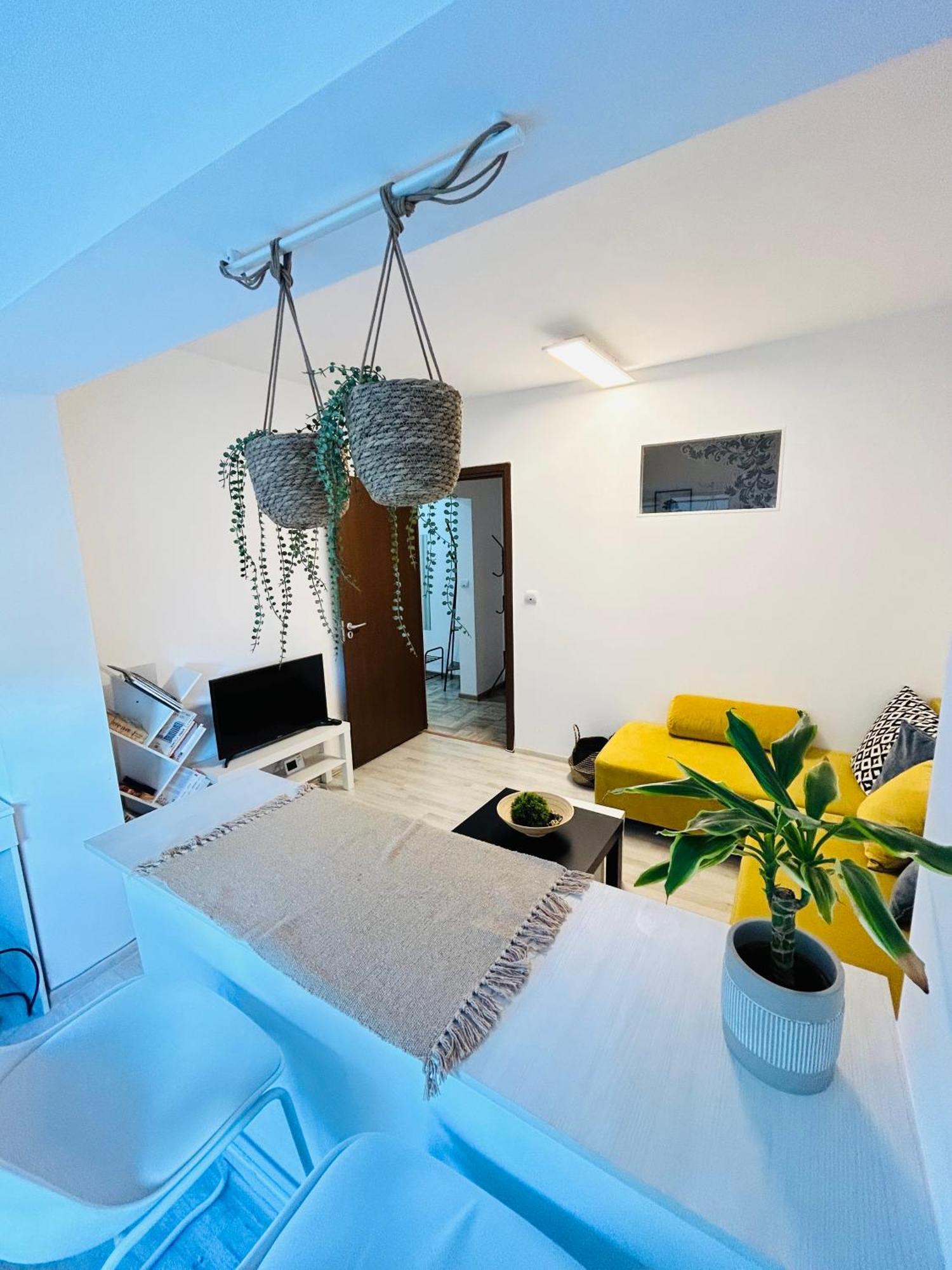 Alisz Apartments ทิมิชัวรา ภายนอก รูปภาพ