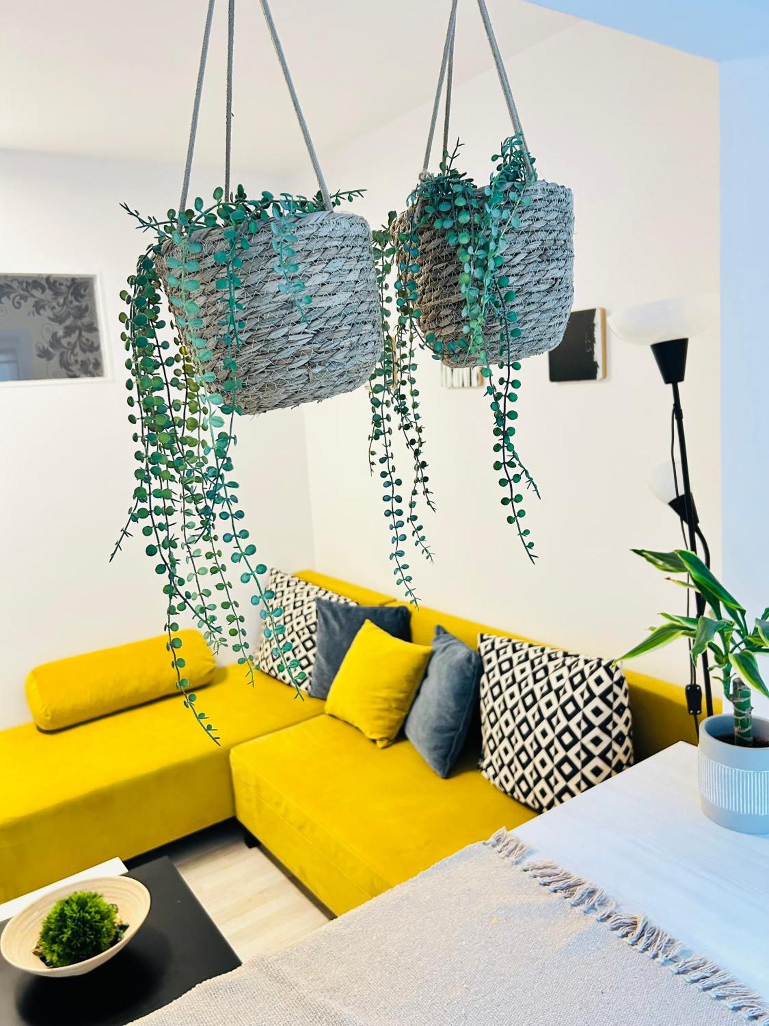 Alisz Apartments ทิมิชัวรา ภายนอก รูปภาพ