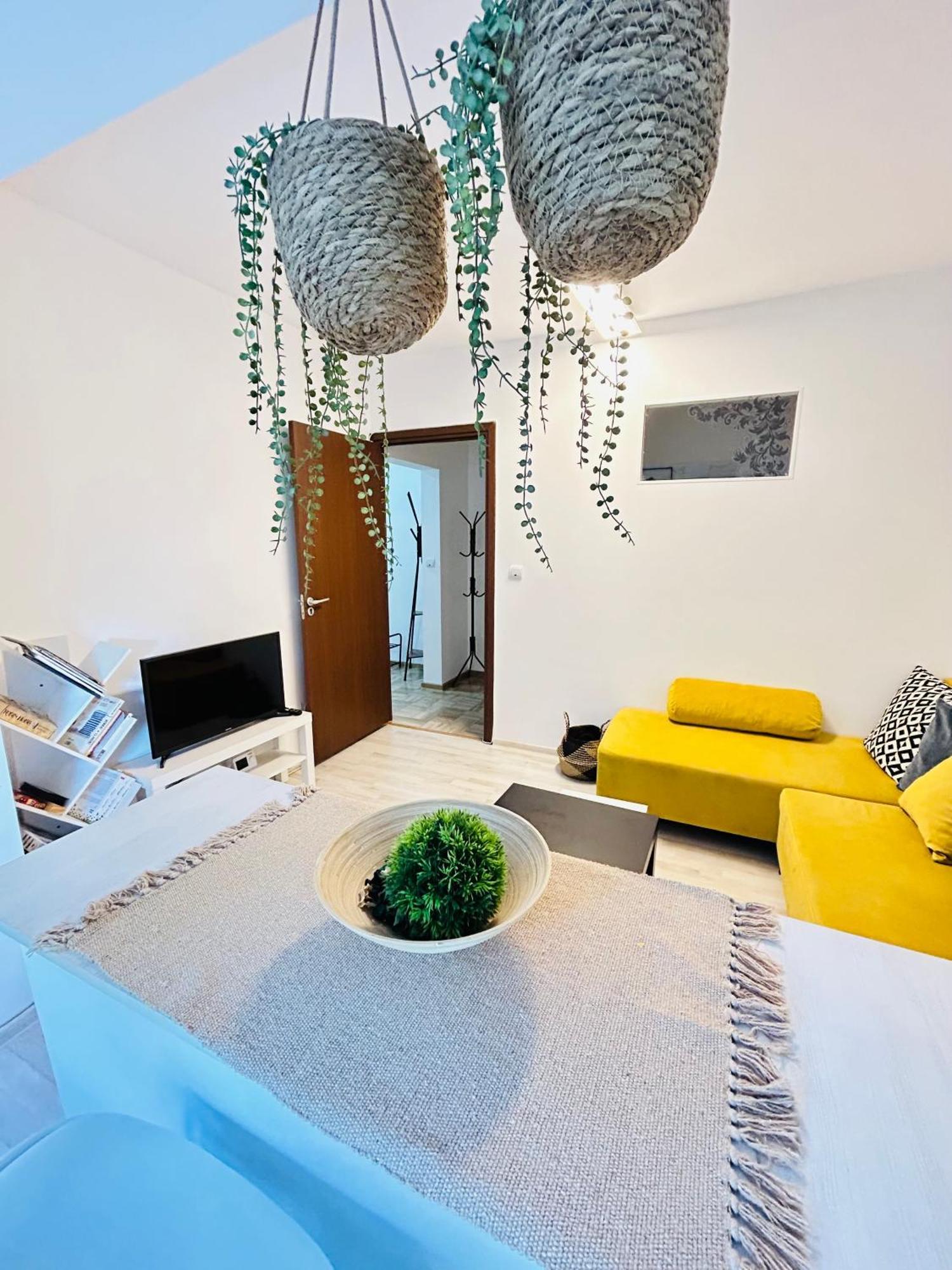 Alisz Apartments ทิมิชัวรา ภายนอก รูปภาพ
